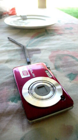 Casio Exilim EX-S10 Digital Camera